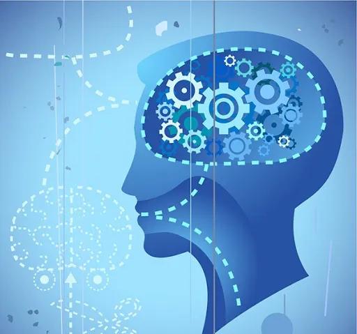 計算思維在鳳凰機器人編程課程中的體現與應用